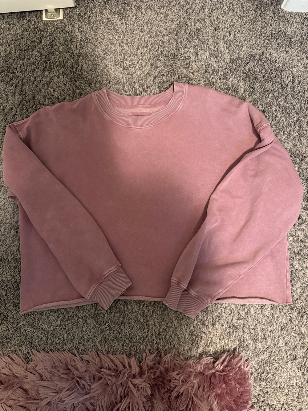 AEO raw hem cropped crewneck sweatshirt